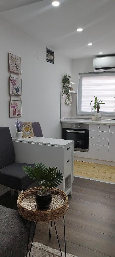 Zaječar Queen Apartmancic מראה חיצוני תמונה